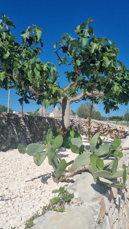 Villa I Trulli dei Nonni evelin Martina Franca Esterno foto