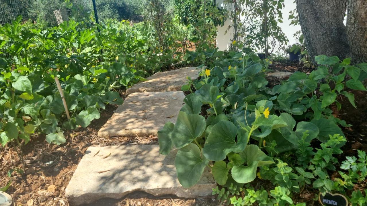 Villa I Trulli dei Nonni evelin Martina Franca Esterno foto