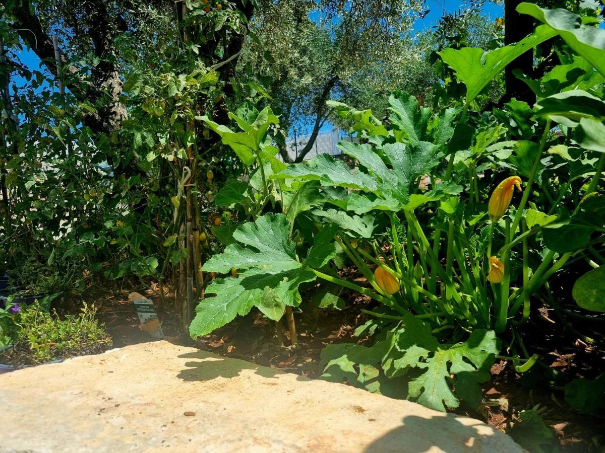 Villa I Trulli dei Nonni evelin Martina Franca Esterno foto